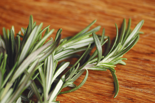 Fresh rosemary picked for the chickpea soup.